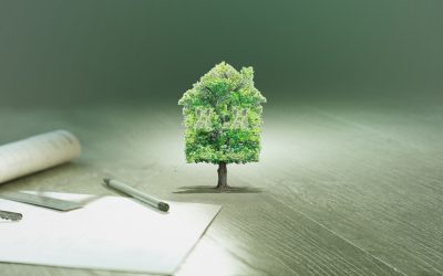 La Génération Z Face au Marché Immobilier Parisien : Une Révolution en Marche