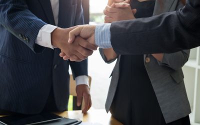 Le rôle insoupçonné des plantes vertes en entreprise