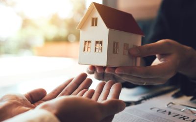 Les droits et recours en cas de vices cachés dans l’immobilier