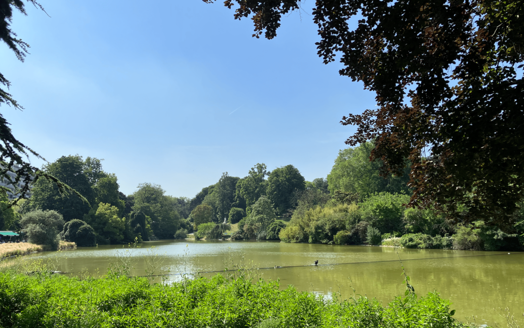 Découvrez comment profiter pleinement des parcs et jardins de paris